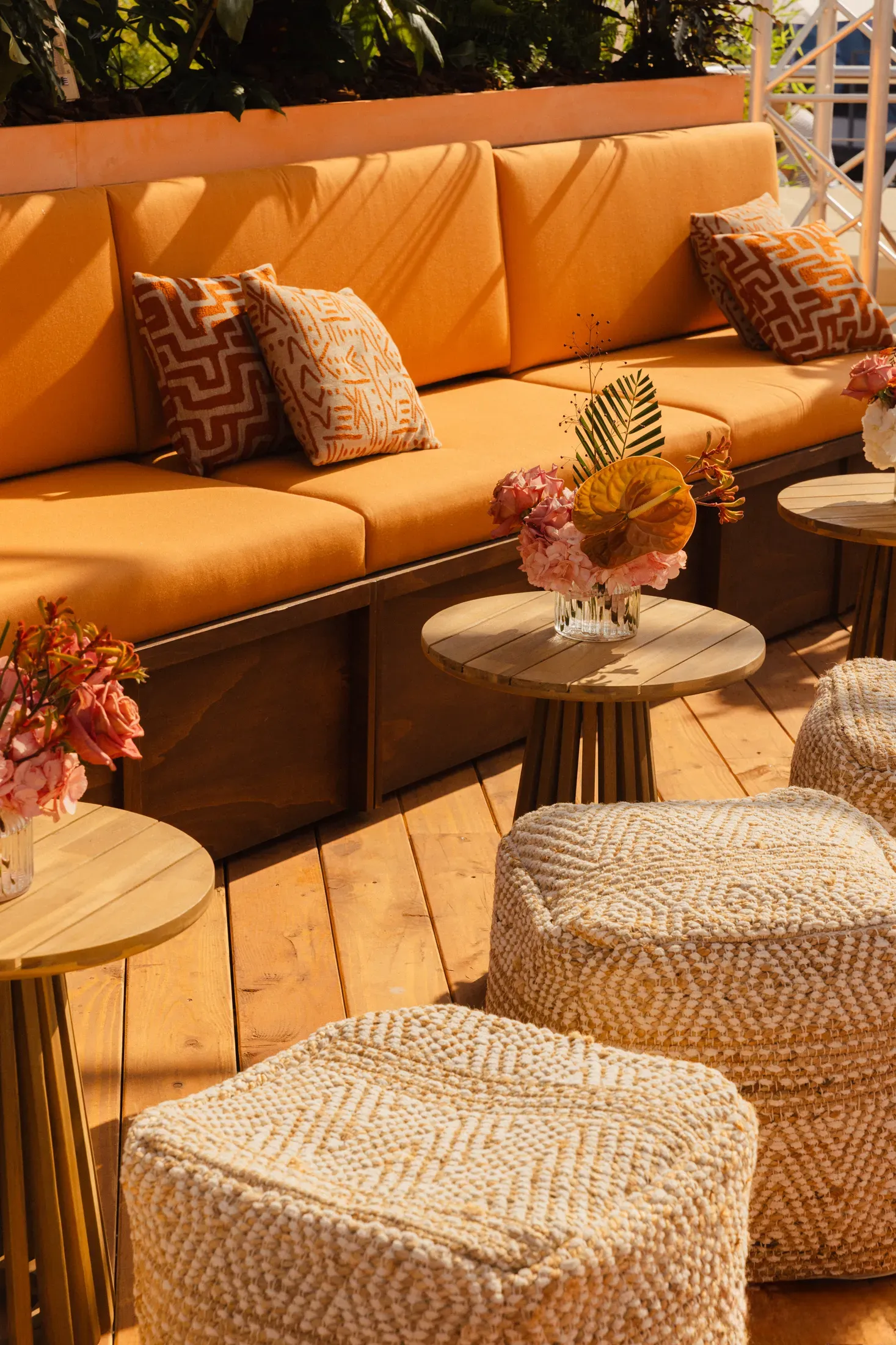 Copy of _M8A2111 copy