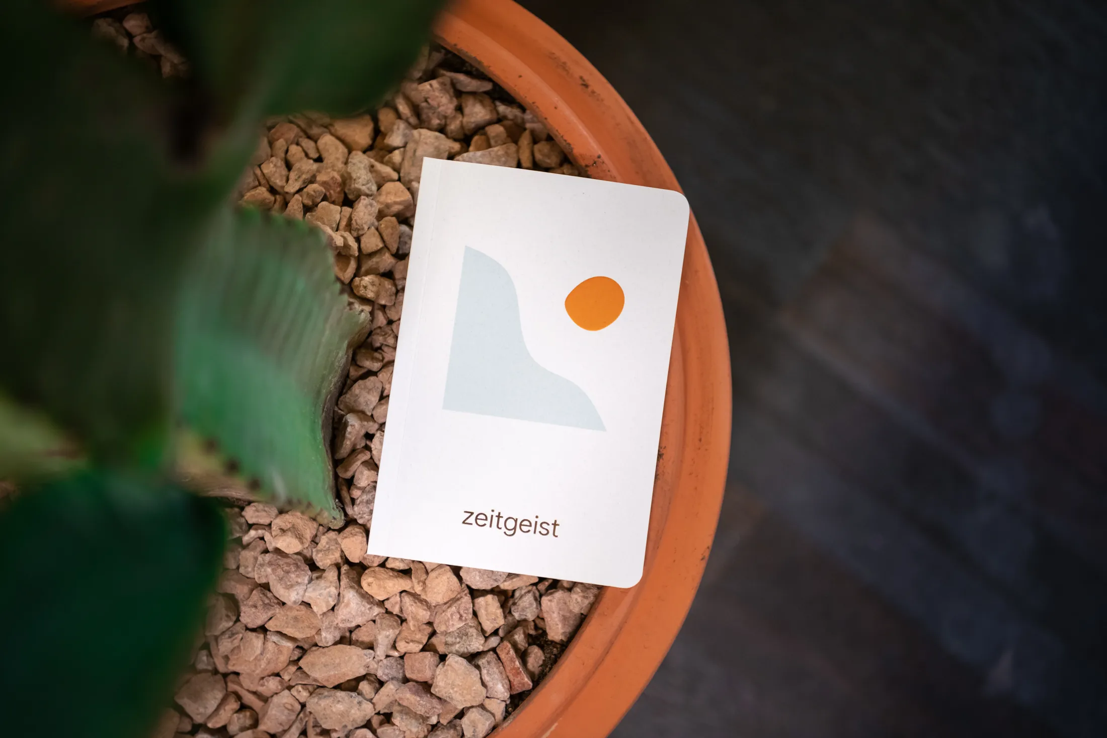 ZEITGEIST2019_1027_095405-1903_ALIVECOVERAGE